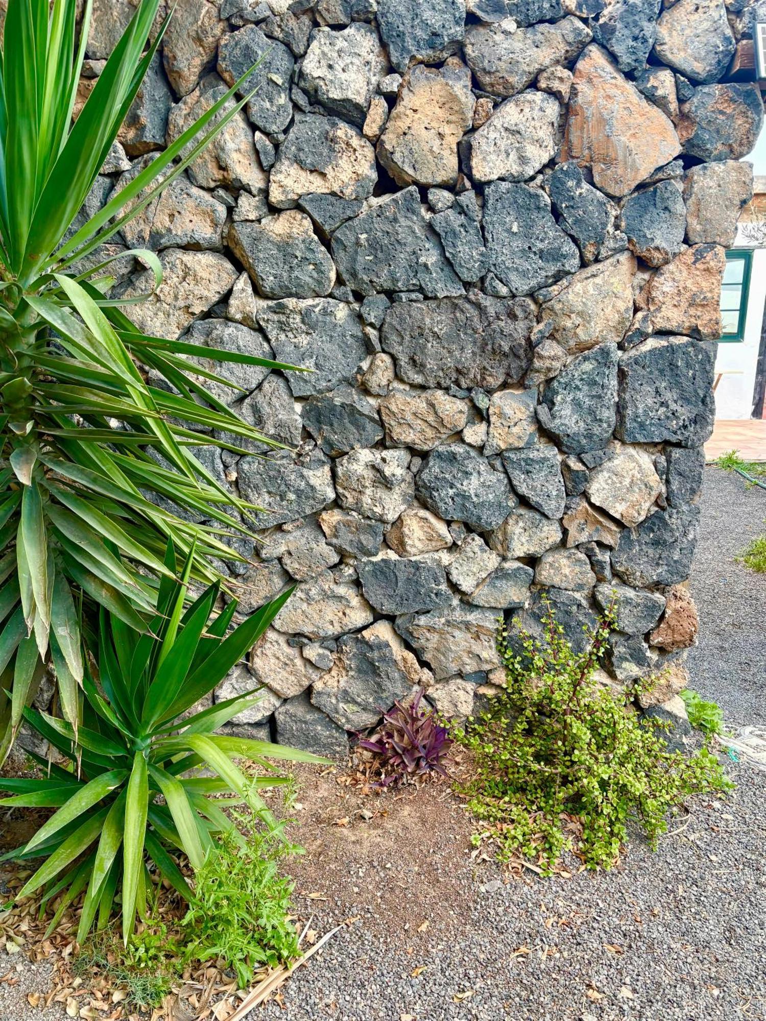 Casa Munique Villa Teguise  Bagian luar foto